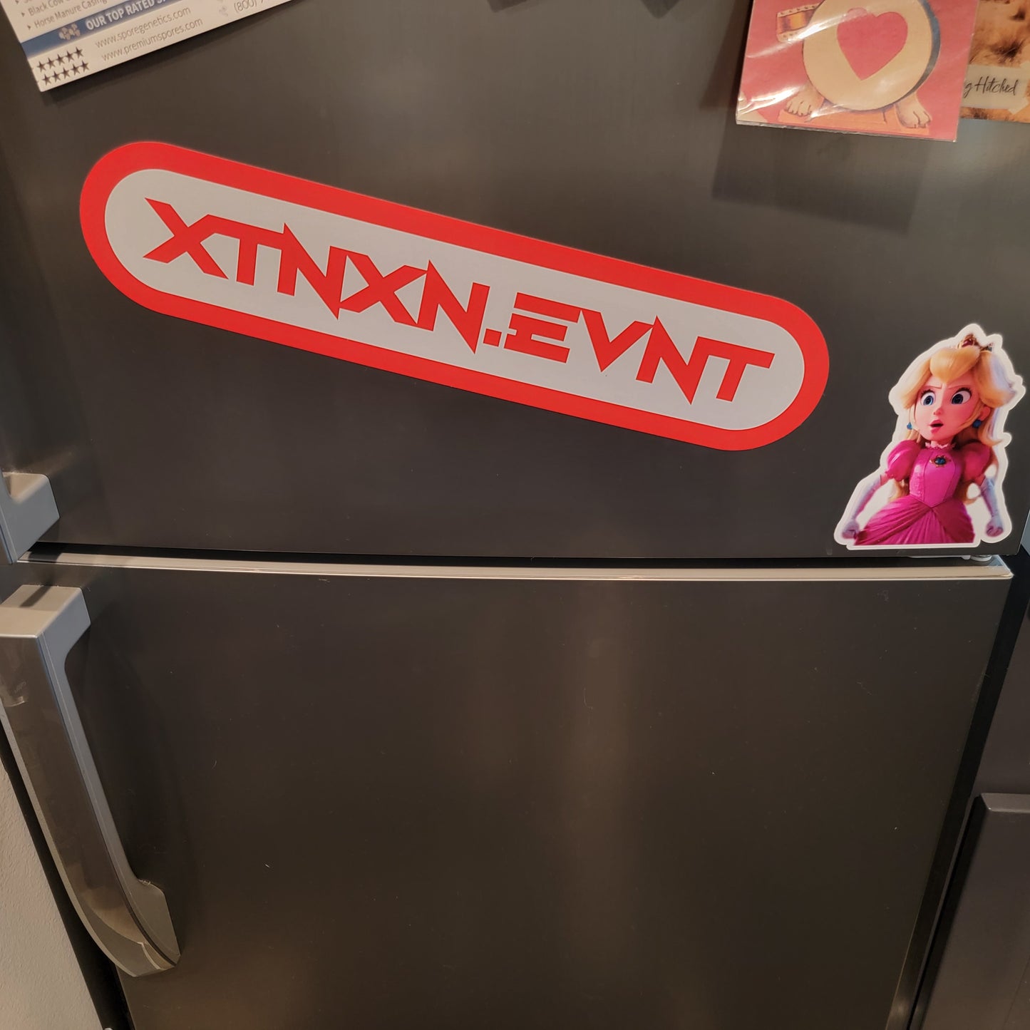 XTNXN.EVNT REFRIGERATOR MAGNET (14.75"W)